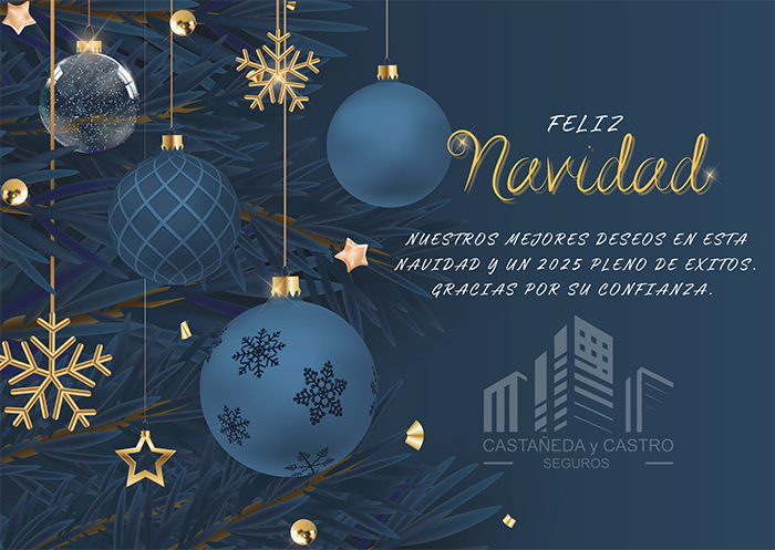 Mensaje Navideño
